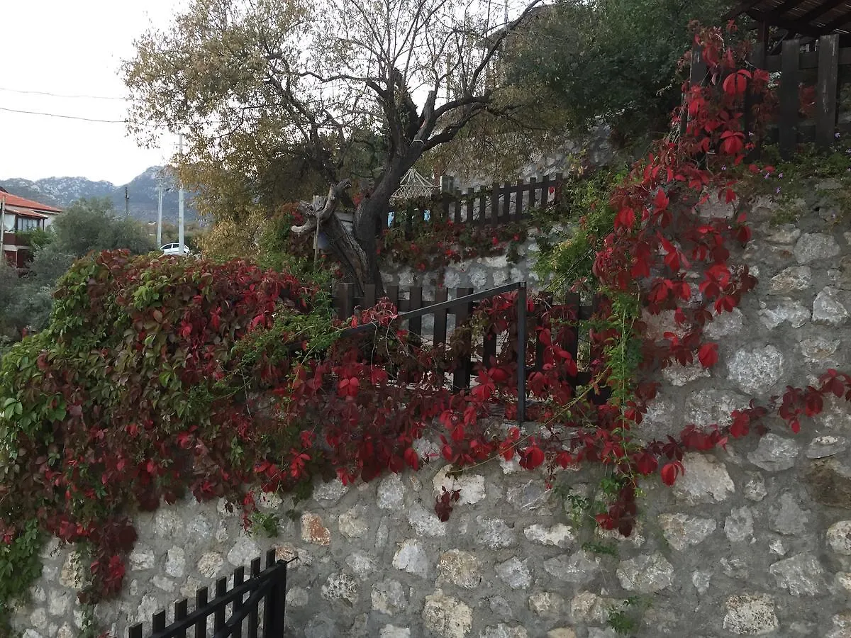 Вилла Selimiye Houses